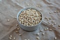 Raw Organic Dry White Beans in a Gray Bowl, side view Royalty Free Stock Photo