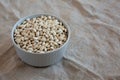 Raw Organic Dry White Beans in a Gray Bowl, side view. Copy space Royalty Free Stock Photo