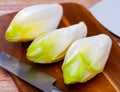 Raw organic endives on wooden table Royalty Free Stock Photo