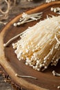 Raw Organic Enoki Mushrooms Royalty Free Stock Photo