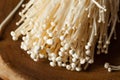 Raw Organic Enoki Mushrooms Royalty Free Stock Photo