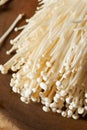 Raw Organic Enoki Mushrooms Royalty Free Stock Photo