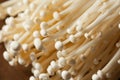 Raw Organic Enoki Mushrooms Royalty Free Stock Photo