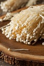 Raw Organic Enoki Mushrooms Royalty Free Stock Photo