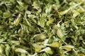 Raw Organic Fenugreek Methi Leaves pattern and texture selective focus Royalty Free Stock Photo