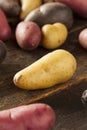 Raw organic fingerling potato medley