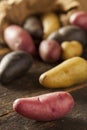 Raw organic fingerling potato medley