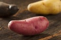 Raw organic fingerling potato medley