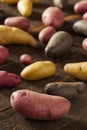 Raw organic fingerling potato medley