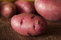 Raw organic fingerling potato medley