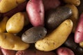 Raw organic fingerling potato medley