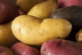 Raw organic fingerling potato medley