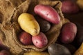 Raw organic fingerling potato medley