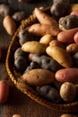 Raw Organic Fingerling Potatoes