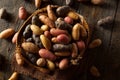 Raw Organic Fingerling Potatoes Royalty Free Stock Photo