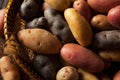 Raw Organic Fingerling Potatoes