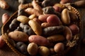 Raw Organic Fingerling Potatoes Royalty Free Stock Photo