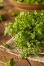 Raw Organic French Parsley Chervil Royalty Free Stock Photo