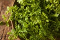 Raw Organic French Parsley Chervil Royalty Free Stock Photo