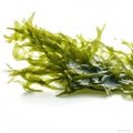 Raw organic fresh green algae rich in minerals and iodine on white background Generative AI Illustration