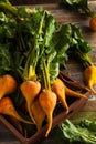 Raw Organic Golden Beets Royalty Free Stock Photo