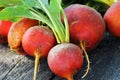 Raw organic golden beets on wooden background Royalty Free Stock Photo