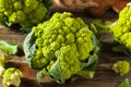 Raw Organic Green Broccoli Cauliflower Royalty Free Stock Photo