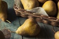 Raw Organic Green and Brown Bosc Pears Royalty Free Stock Photo