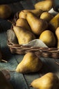 Raw Organic Green and Brown Bosc Pears Royalty Free Stock Photo