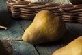 Raw Organic Green and Brown Bosc Pears Royalty Free Stock Photo