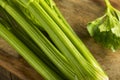 Raw Organic Green Celery Stalks Royalty Free Stock Photo