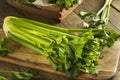 Raw Organic Green Celery Stalks Royalty Free Stock Photo