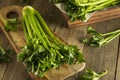 Raw Organic Green Celery Stalks Royalty Free Stock Photo