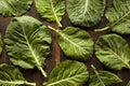 Raw Organic Green Collard Greens Royalty Free Stock Photo