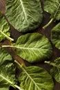 Raw Organic Green Collard Greens Royalty Free Stock Photo