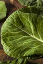 Raw Organic Green Collard Greens Royalty Free Stock Photo