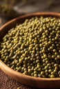 Raw Organic Green Mung Beans Royalty Free Stock Photo