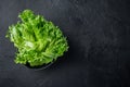 Raw organic green oak lettuce, on black background, top view flat lay  with copy space for text Royalty Free Stock Photo