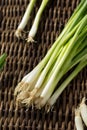 Raw Organic Green Onions Royalty Free Stock Photo