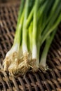 Raw Organic Green Onions Royalty Free Stock Photo