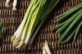 Raw Organic Green Onions Royalty Free Stock Photo