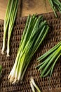 Raw Organic Green Onions Royalty Free Stock Photo