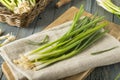 Raw Organic Green Onions Royalty Free Stock Photo