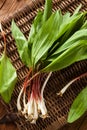 Raw Organic Green Ramps Royalty Free Stock Photo
