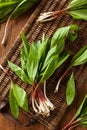 Raw Organic Green Ramps Royalty Free Stock Photo