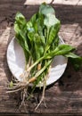 Raw organic green ramps or wild garlic Royalty Free Stock Photo