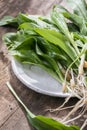 Raw organic green ramps or wild garlic Royalty Free Stock Photo