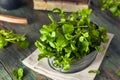 Raw Organic Green Watercress