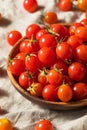 Raw Organic Heirloom Cherry Tomatoes Royalty Free Stock Photo