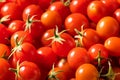 Raw Organic Heirloom Cherry Tomatoes Royalty Free Stock Photo